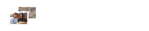 旬の朝市・フォトギャラリー