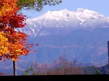 飛騨高山朝市のお店