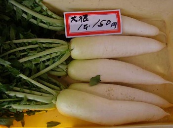 飛騨高山朝市のお店