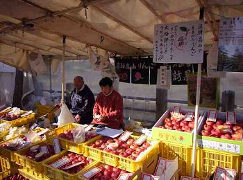 朝市のお店