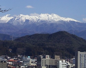 朝市のお店