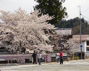 朝市のお店