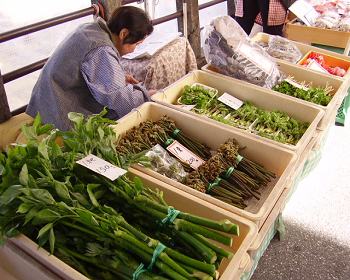 飛騨高山朝市のお店