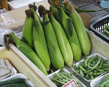 飛騨高山朝市のお店