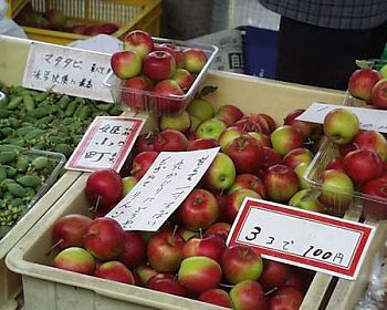 朝市のお店