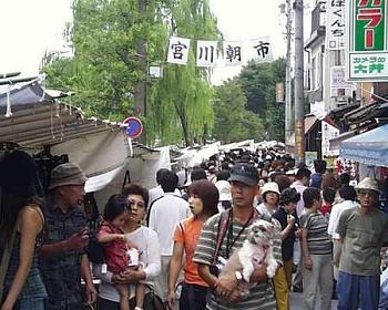 朝市のお店