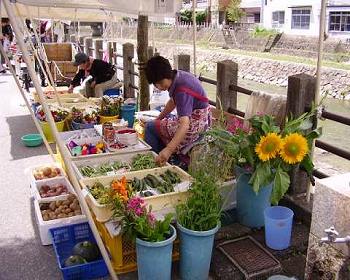 朝市のお店