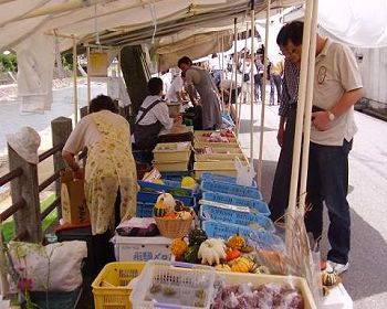 朝市のお店