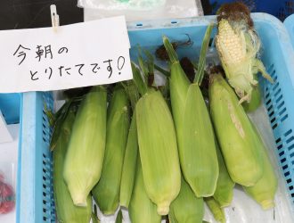 夏 ～夏野菜・飛騨桃～