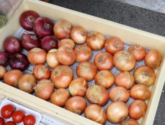 夏 ～夏野菜・飛騨桃～