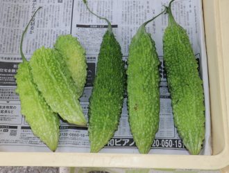 夏 ～夏野菜・飛騨桃～