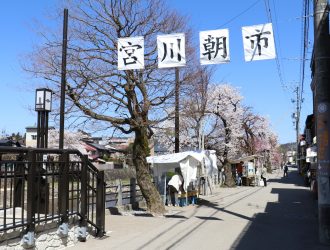 春 ～桜と朝市～