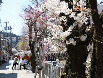 春 ～桜と朝市～